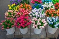 Wooden Tulips in Buckets Royalty Free Stock Photo
