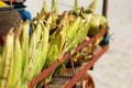 Many corn cobs in the cart. Rows of corn in the shell, lay in piles. Indian, Asian street food. Beach at GOA Sunset Royalty Free Stock Photo