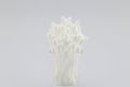 Many Cotton swabs in the glass on white background Royalty Free Stock Photo