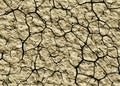 Many cracked dry desert backgrounds Royalty Free Stock Photo