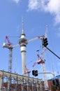 Many cranes against Auckland Sky tower