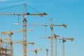 Many cranes on building site - construction cranes on blue sky Royalty Free Stock Photo