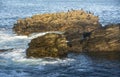 Comorants and gulls at Kinnaird Head, near Fraserburgh,  Aberdeenshire,Scotland,UK Royalty Free Stock Photo