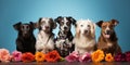 many cute dogs on a blue background. Generative AI Royalty Free Stock Photo