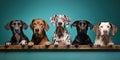 many cute dogs on a blue background. Generative AI Royalty Free Stock Photo