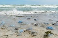 Many dead huge jellyfish washed up on the seashore during a storm. Royalty Free Stock Photo