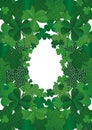 Many decorative clover. St.Patrick `s Day. Vector