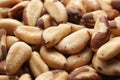 Many delicious Brazil nuts as background