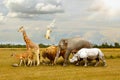 Many different animals walking under cloudy sky