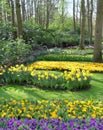 Many different bright and colorful flowerbeds in the park