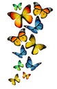 Many different butterflies on background Royalty Free Stock Photo