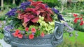 Many different colors in a large outdoor pots Royalty Free Stock Photo