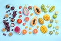 Many different delicious exotic fruits on light blue background, flat lay Royalty Free Stock Photo