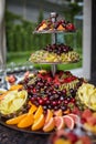 Many different fruits on the wedding table Royalty Free Stock Photo