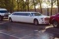 Many different limousines The Car for weddings, celebrations, anniversaries and holidays