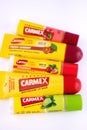 Many different lip balms from the Carmex brand on a white background.