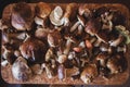 Many different mushrooms lie on the table Royalty Free Stock Photo