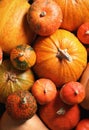 Many different pumpkins as background, closeup.