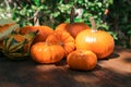 Many different ripe orange pumpkins on wooden table outdoors Royalty Free Stock Photo
