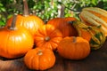 Many different ripe orange pumpkins on wooden table outdoors Royalty Free Stock Photo