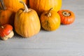 Many different ripe pumpkins on table Royalty Free Stock Photo