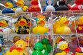 many different rubber ducks