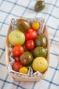 Many different tomato breeds Royalty Free Stock Photo