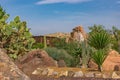 Many different varieties of cacti in the botanical garden. Desert plants against the blue sky. Nature Royalty Free Stock Photo