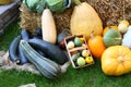 Many Different Vegetables in Garden in front off Hay Royalty Free Stock Photo