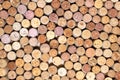Many different wine corks Royalty Free Stock Photo