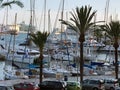 Many different yachts and boats are moored near the resort promenade in the background. In the foreground are parked cars