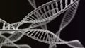Many DNA chains on the black background Royalty Free Stock Photo