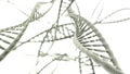 Many DNA chains close up on the light background Royalty Free Stock Photo