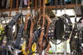 Many dog collars and ropes hung for sale.