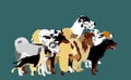 Many dogs in line waiting for veterinary clinic vector illustration. Pack, array of dog isolated.