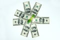 Many dollars and a green sprout isolated Royalty Free Stock Photo