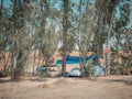 Many dome tents at a camping site near the Eucalyptus trees in Jordan Valley of Israel Royalty Free Stock Photo