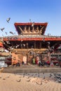 Many doves flying up at the Durbar square in Kathmandu