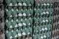 many dozens of white eggs in the boxes for sale at the open market Royalty Free Stock Photo