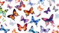 many drawn different butterflies isolated on white background