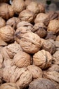 Many dried walnuts Royalty Free Stock Photo