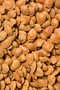 Many dry apricot nut Royalty Free Stock Photo