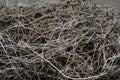 The many Dry brown cut vines are evenly textured intertwined on Royalty Free Stock Photo