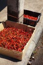 Many dry chili in paper box and plastic basket Royalty Free Stock Photo