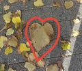 Fallen heart shaped leaves in the road Royalty Free Stock Photo