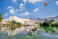 Many ducks are in the water at Travertines of Pamukkale or thermal pools Royalty Free Stock Photo