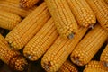 Yellow corn ear, close up macro surface top view background Royalty Free Stock Photo