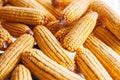 Many ears of yellow dry corn in the sunlight. Corn storage Royalty Free Stock Photo
