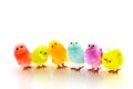Many easter chickens Royalty Free Stock Photo