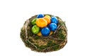 Many Easter Eggs in Nest